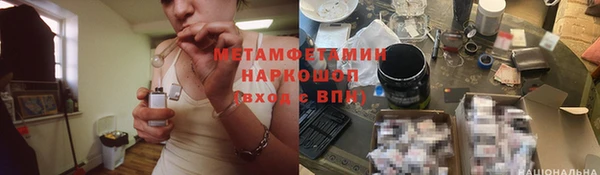 ПСИЛОЦИБИНОВЫЕ ГРИБЫ Волосово